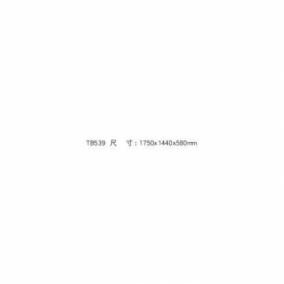 TB539-2.jpg